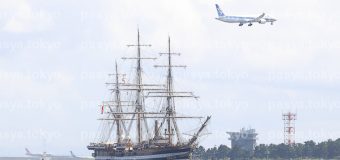 イタリア帆船「Amerigo Vespucci」号 東京初入港