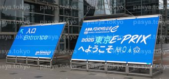 ABB FIAフォーミュラE世界選手権